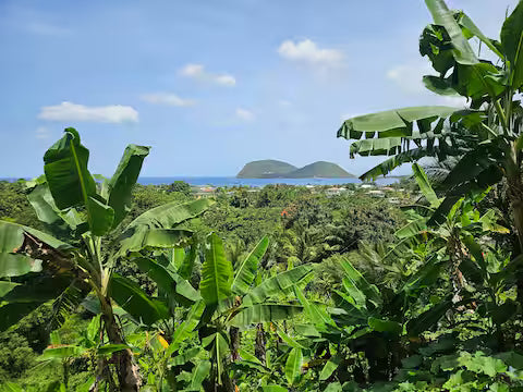 Mountain Breeze Honeymoon Hide away 7 Night Stay