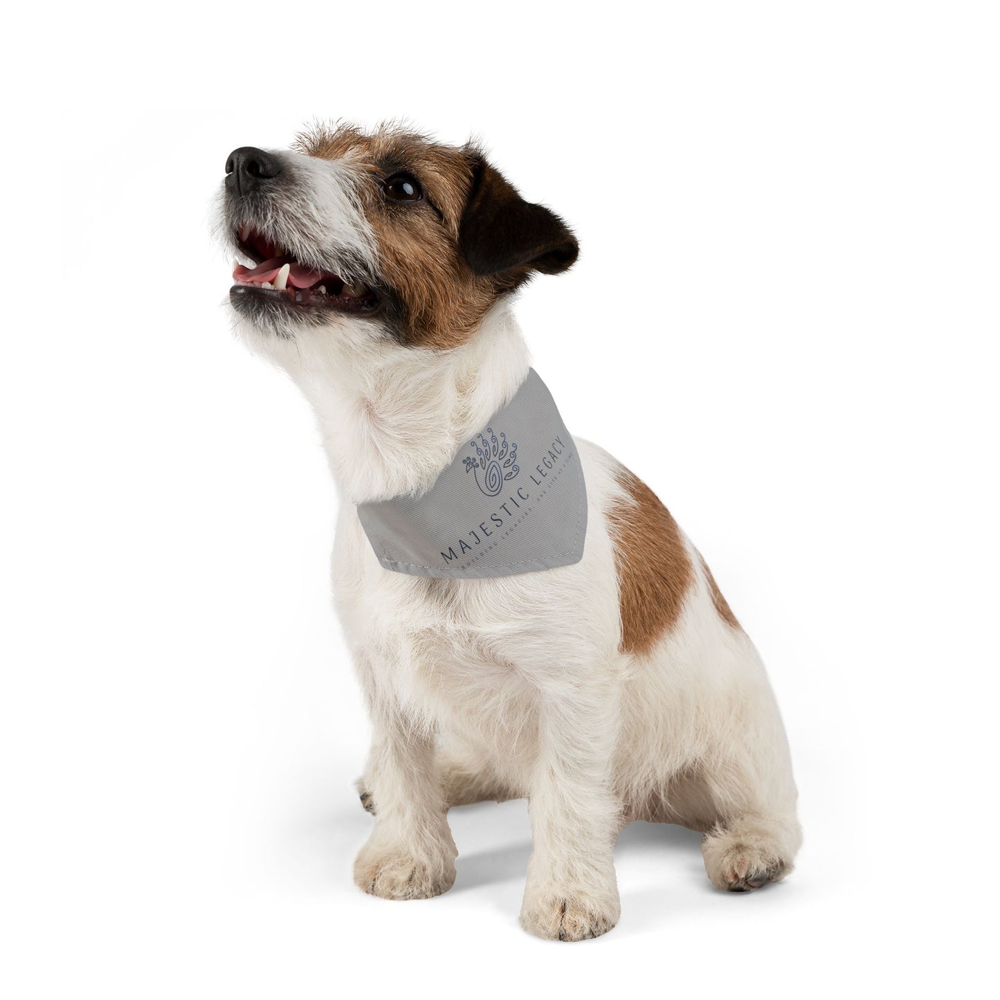 Majestic Legacy Pet Bandana Collar Printify