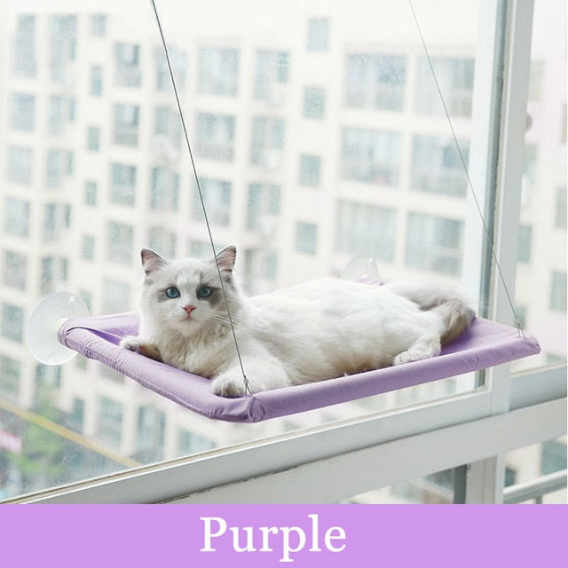 Aura Pet Courtney on Topp Cat Hanging Bed Shelf Aura Restored