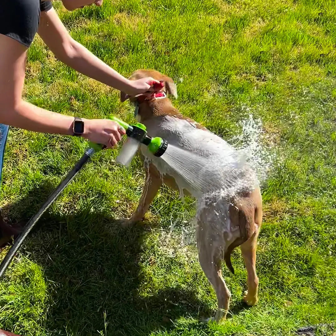 Paws and Claws Dog Shower Jet Attachment Aura Restored