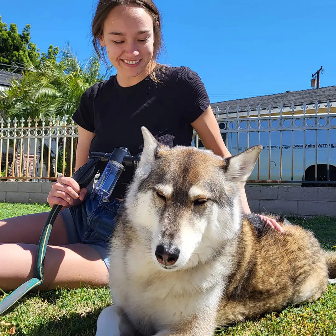 Paws and Claws Dog Shower Jet Attachment Aura Restored