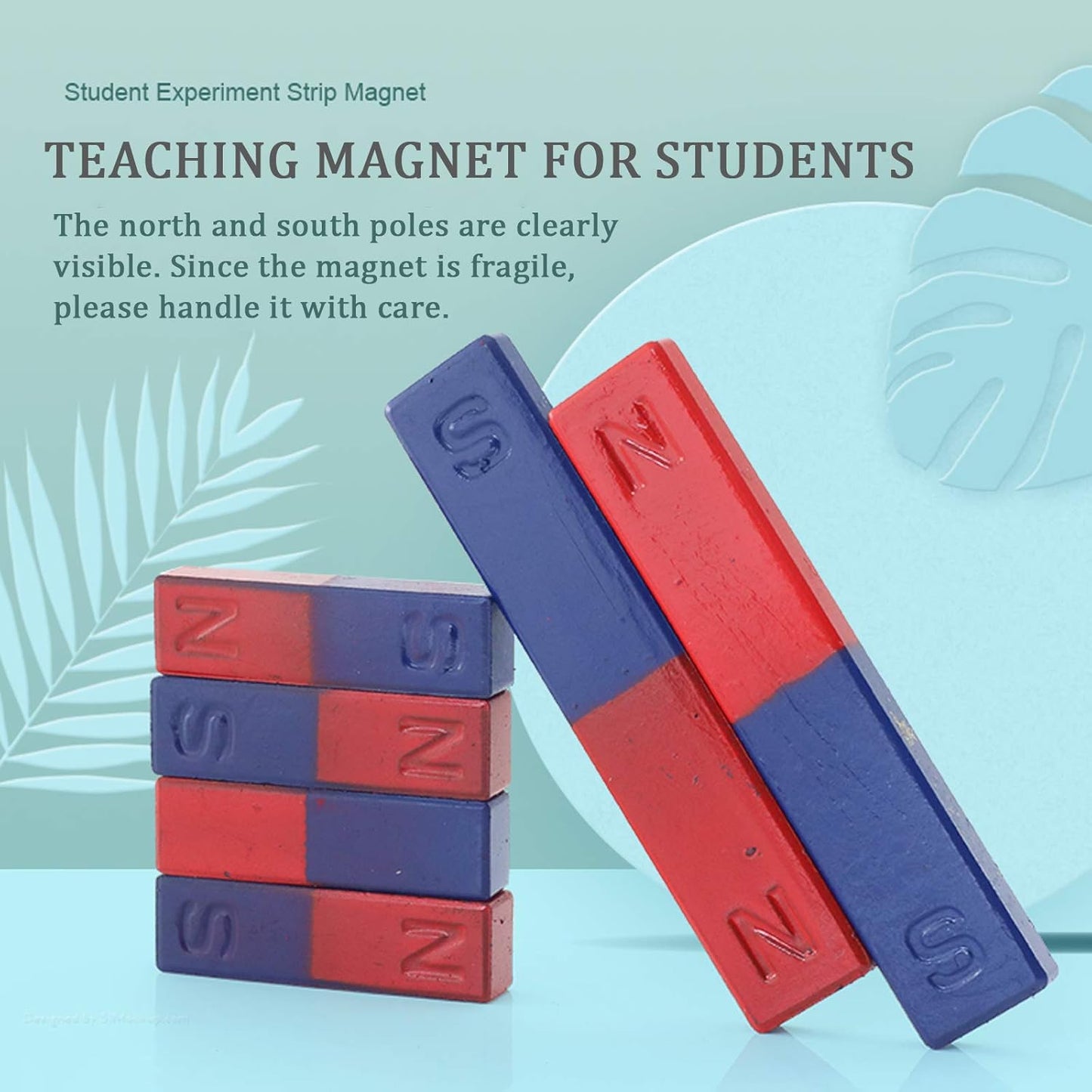 Science Magnet for Kids Bar Magnet