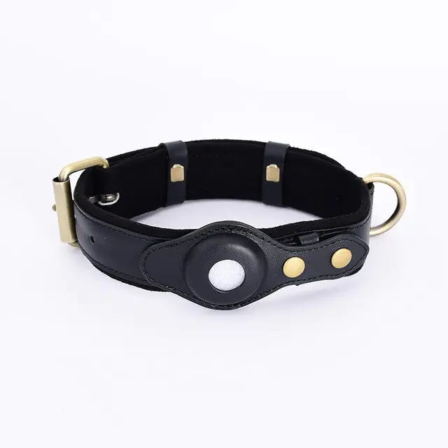 Aura Pets Leather Anti-Lost Dog Collar Aura Restored