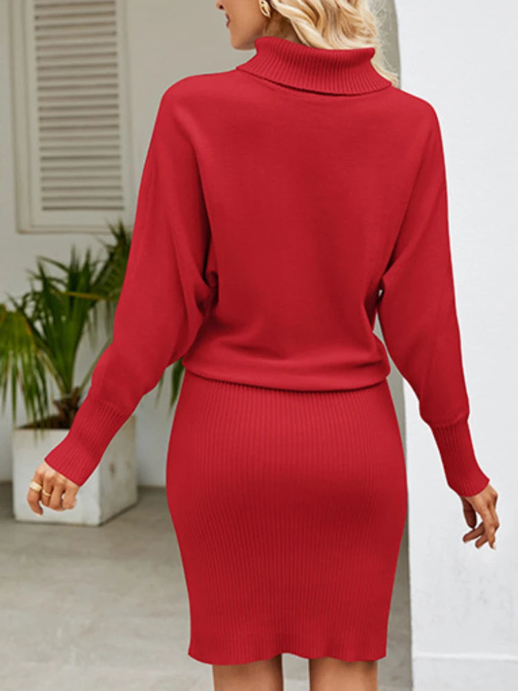 9DF Women's Rippled Sweater Dress Aura Restored