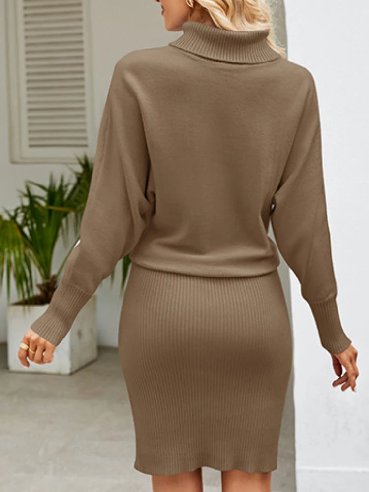 9DF Women's Rippled Sweater Dress Aura Restored