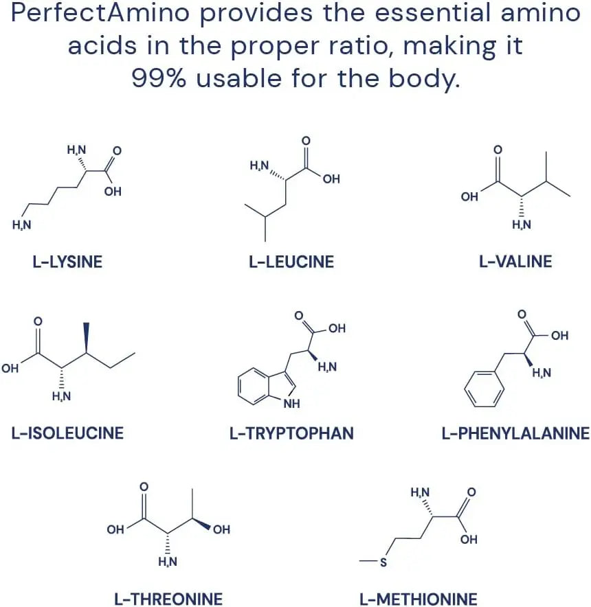 BodyHealth Perfect Amino Tablets