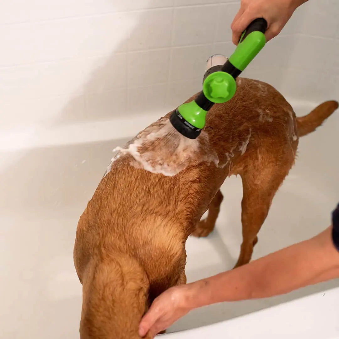 Paws and Claws Dog Shower Jet Attachment Aura Restored