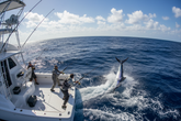 Deep Sea fishing