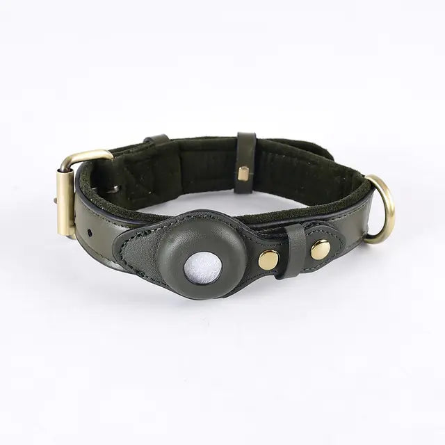 Aura Pets Leather Anti-Lost Dog Collar Aura Restored