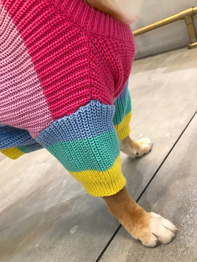 Aura Pet Puppy Knitted Rainbow Sweater Aura Restored