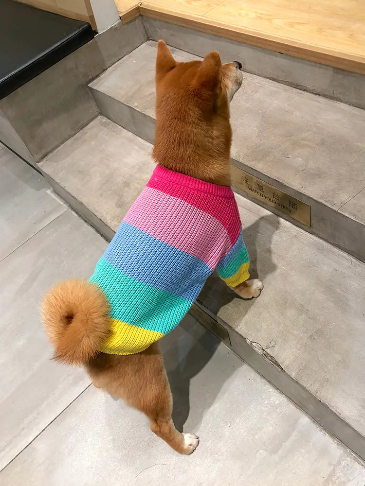 Aura Pet Puppy Knitted Rainbow Sweater Aura Restored