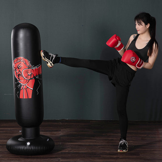 Push it fitness Inflatable Boxing Bag Aura Restored