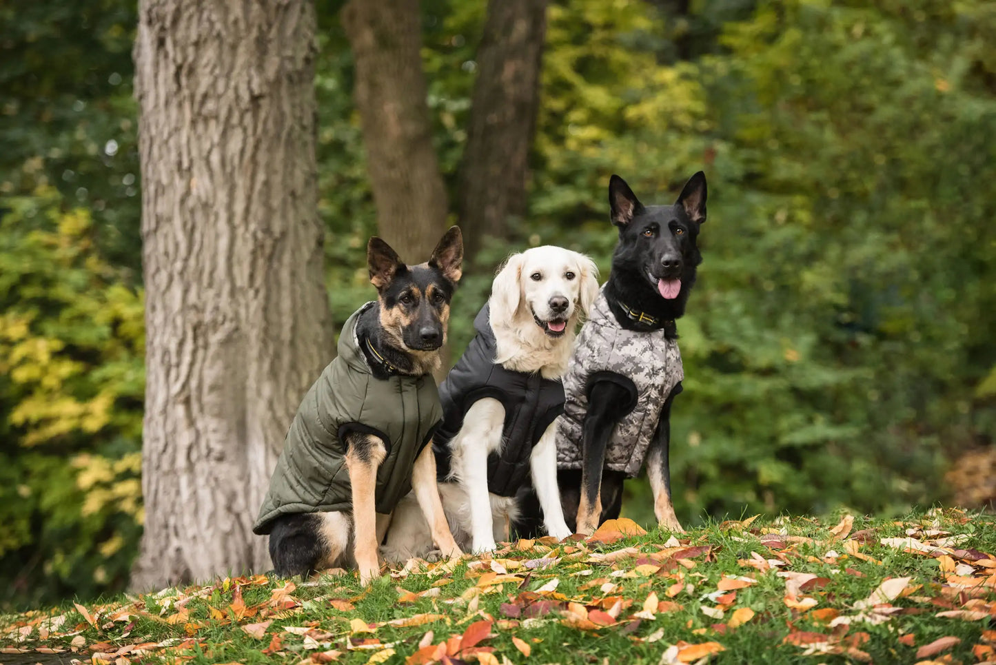 Paws & Claws Dark Camo Dog Parka Aura Restored