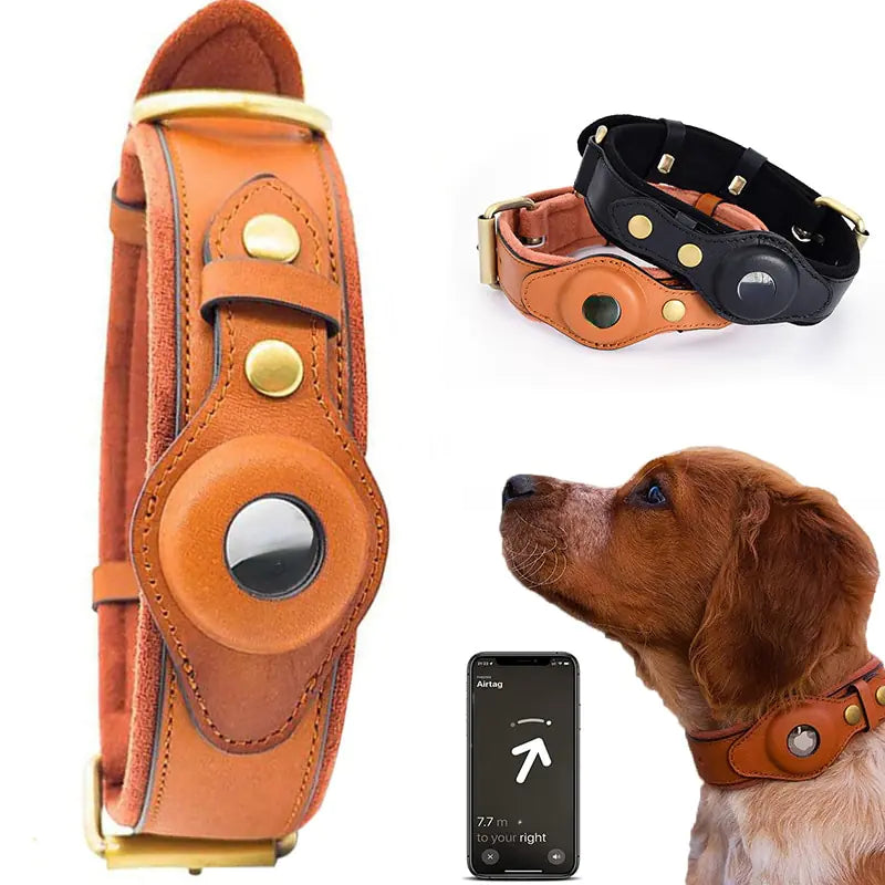 Aura Pets Leather Anti-Lost Dog Collar Aura Restored