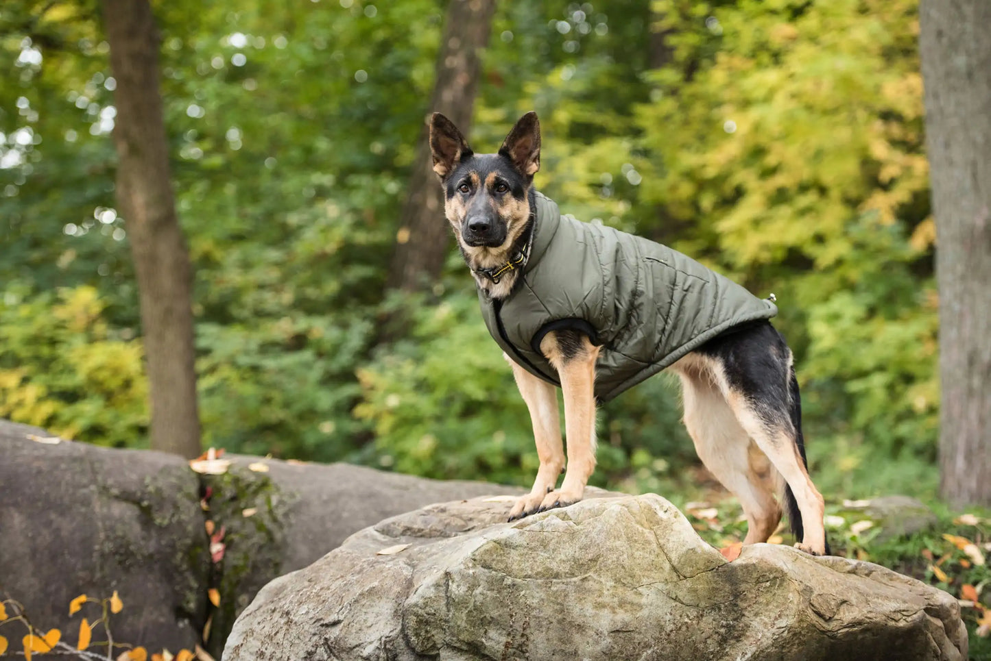 Paws & Claws Dark Camo Dog Parka Aura Restored