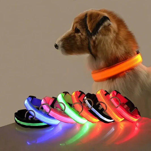 Paws & Claws Flashing Glow Dog Collar Aura Restored