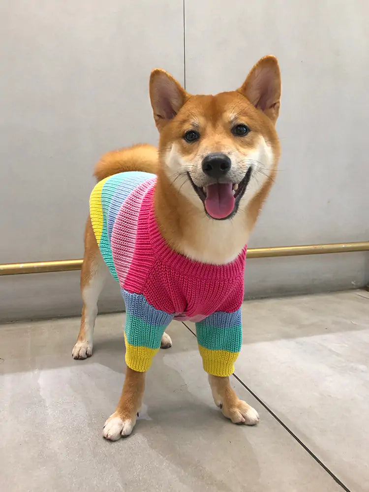 Aura Pet Puppy Knitted Rainbow Sweater Aura Restored