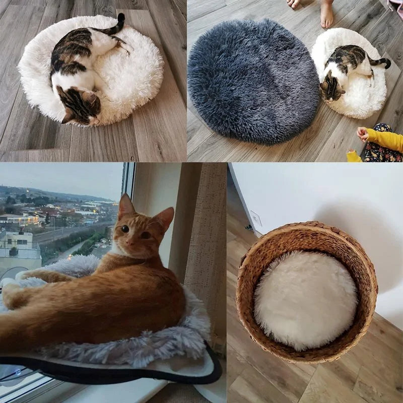 Aura Pet Round Bed Aura Restored