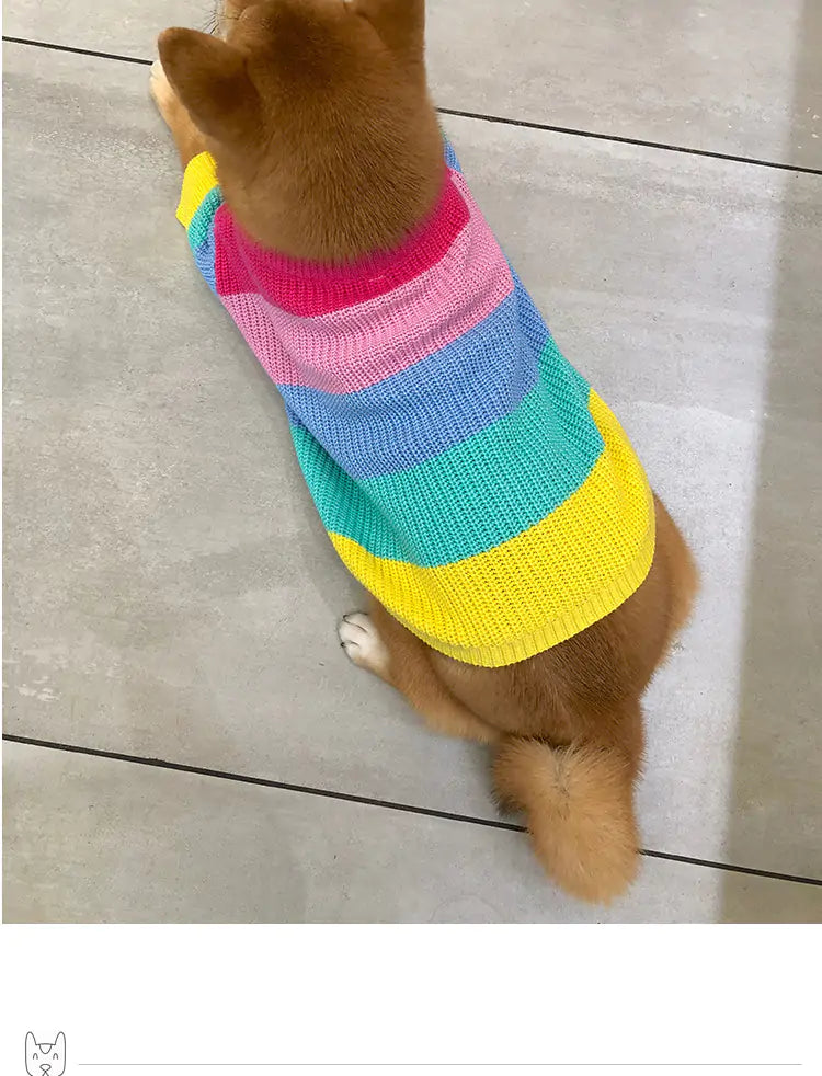 Aura Pet Puppy Knitted Rainbow Sweater Aura Restored